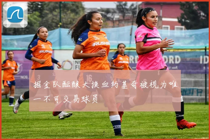 掘金队酝酿大换血约基奇被视为唯一不可交易球员