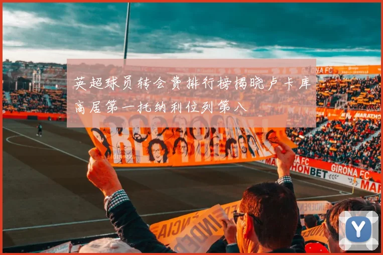 英超球员转会费排行榜揭晓卢卡库高居第一托纳利位列第八