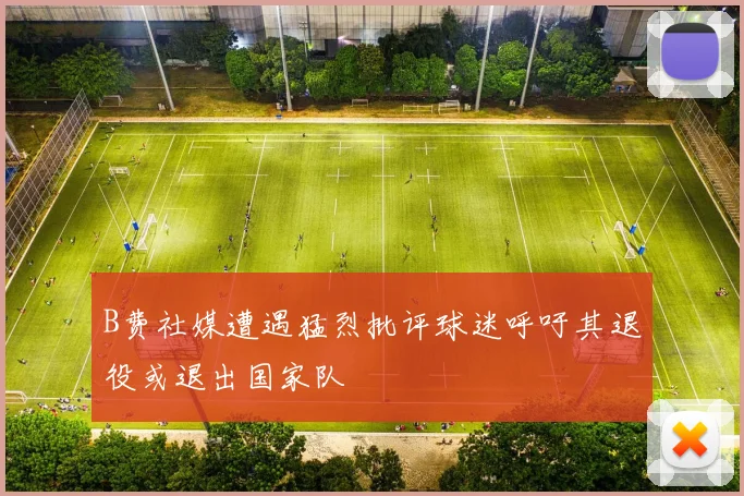 B费社媒遭遇猛烈批评球迷呼吁其退役或退出国家队